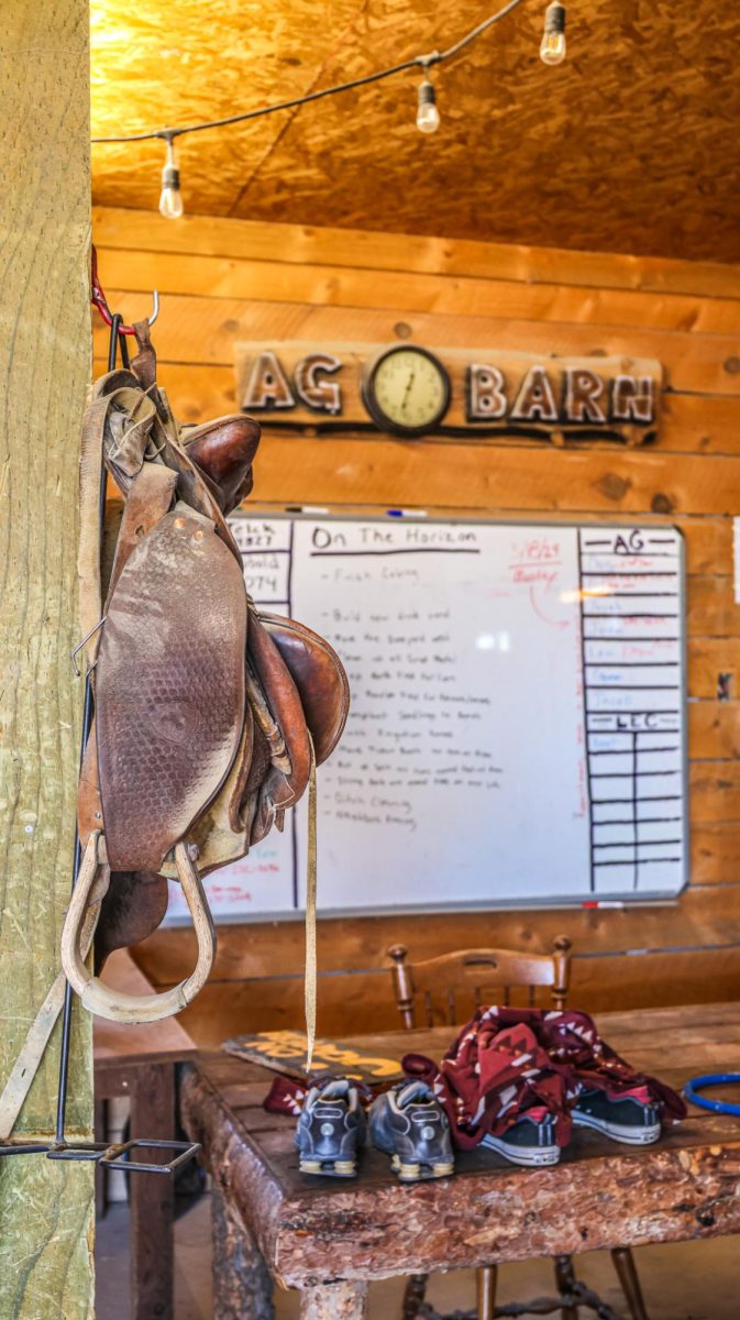 The Harvest Farms agricultural barn serves as a workplace and an enclosure for farm animals March 18. 