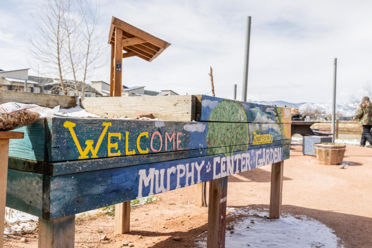 Garden boxes outside the Murphy Center at Homeward Alliance welcome visitors with their vibrant blooms in the community gardens during spring and summer March 25. 