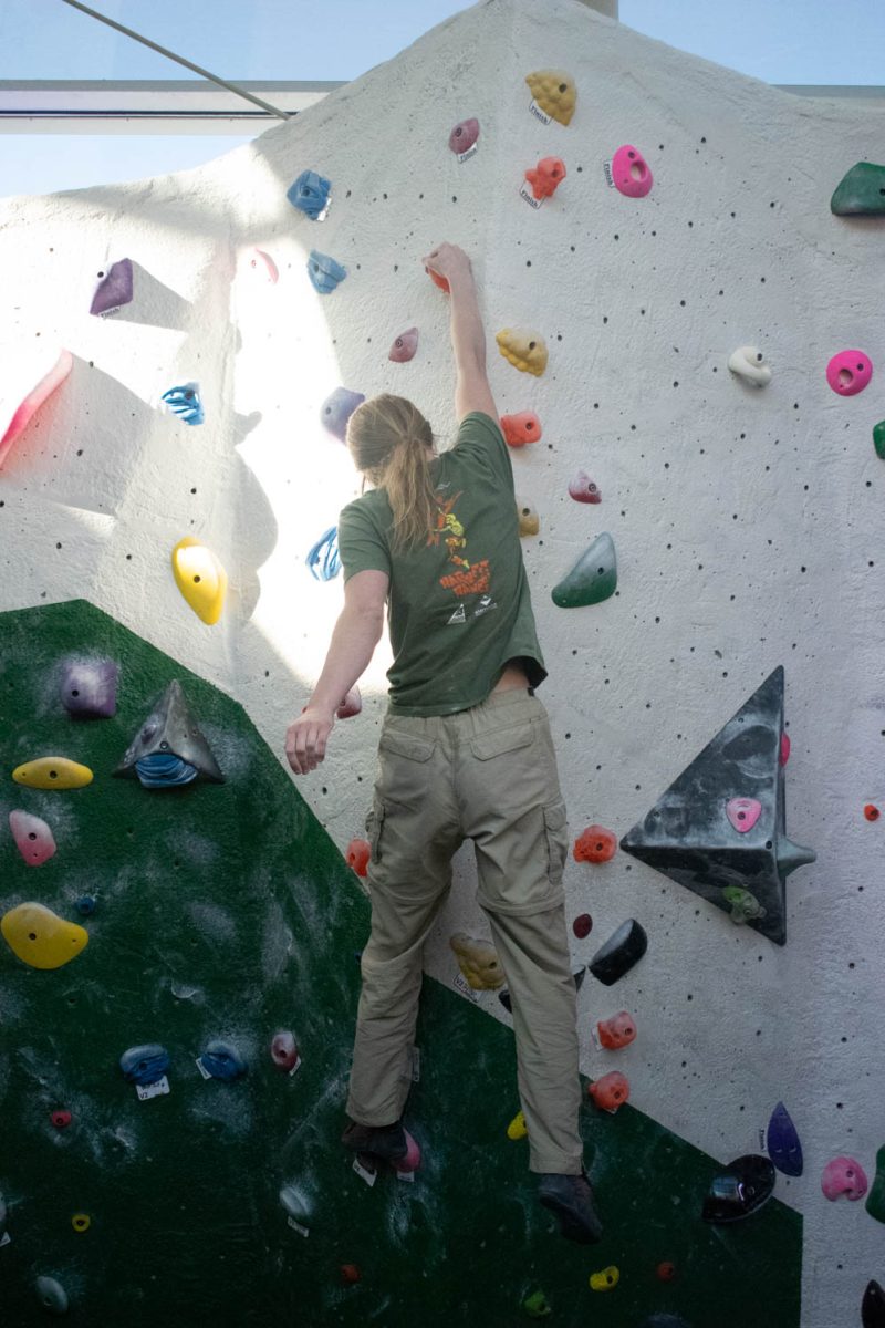 Colorado State University student Austria Pfanner climbs at the CSU Student Recreation Center climbing wall on April 2, 2024.