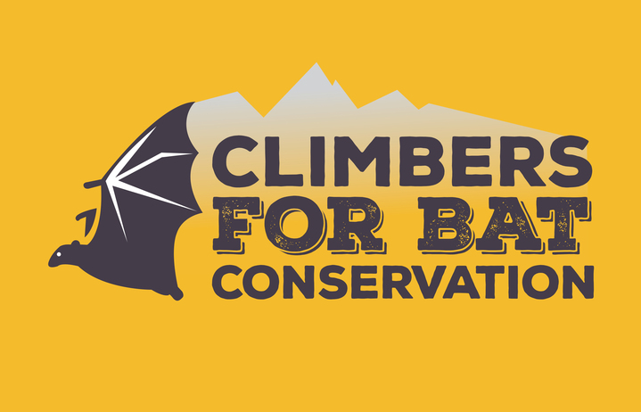 Biologists enlist climbers in bat conservation effort