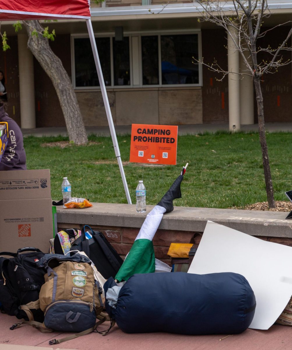 A pile of objects including a rolled up Palestinian flag, some backpacks and a piece of poster board sits against a low wall. Behind the wall is a patch of grass with a sign reading, Camping prohibited.