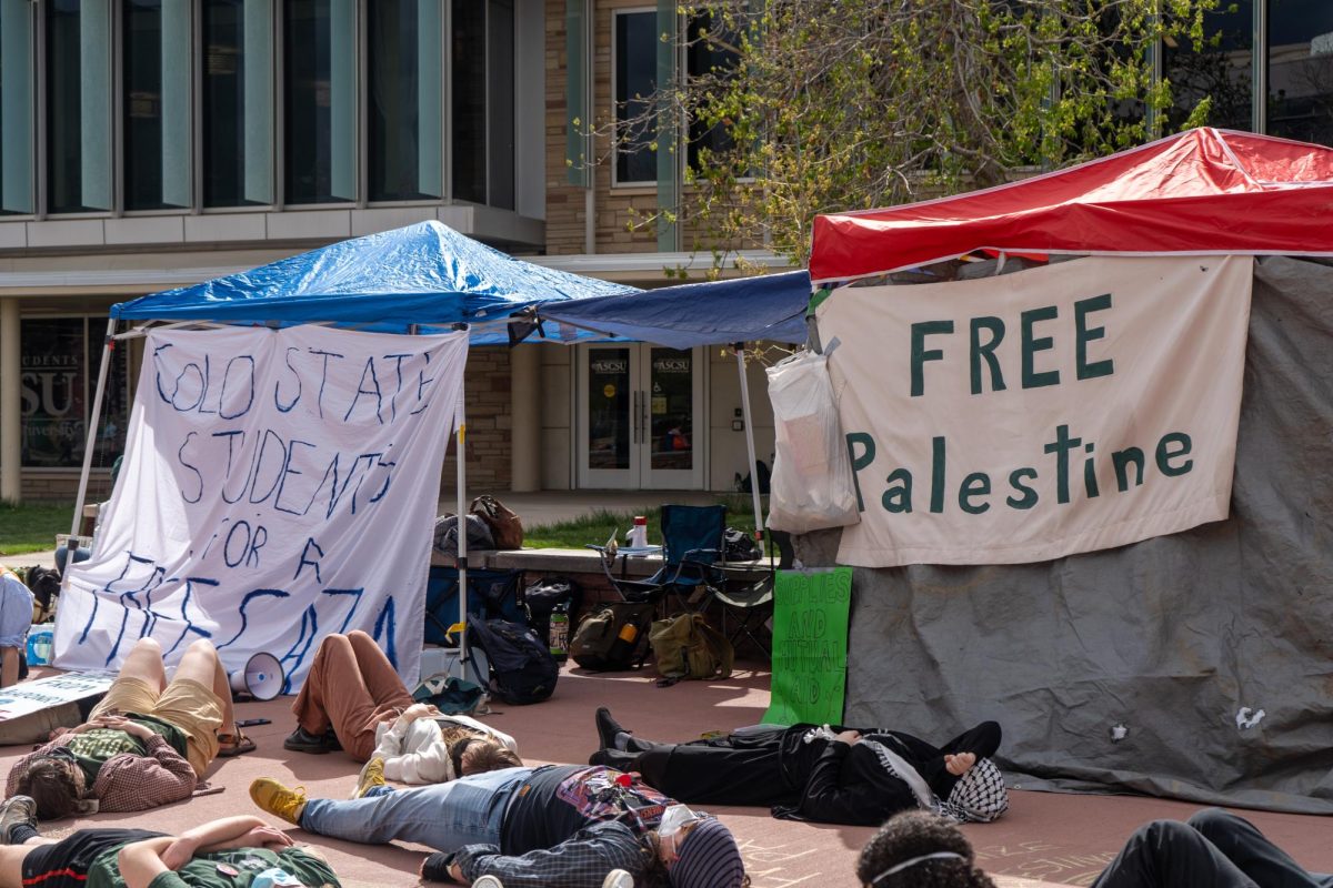 Protestors gather outside the Lory Student Center Plaza during a Students for Justice in Palestine protest on May 1. The protest included chanting and marching in support of Palestine. The protest included a die-in demonstration. 