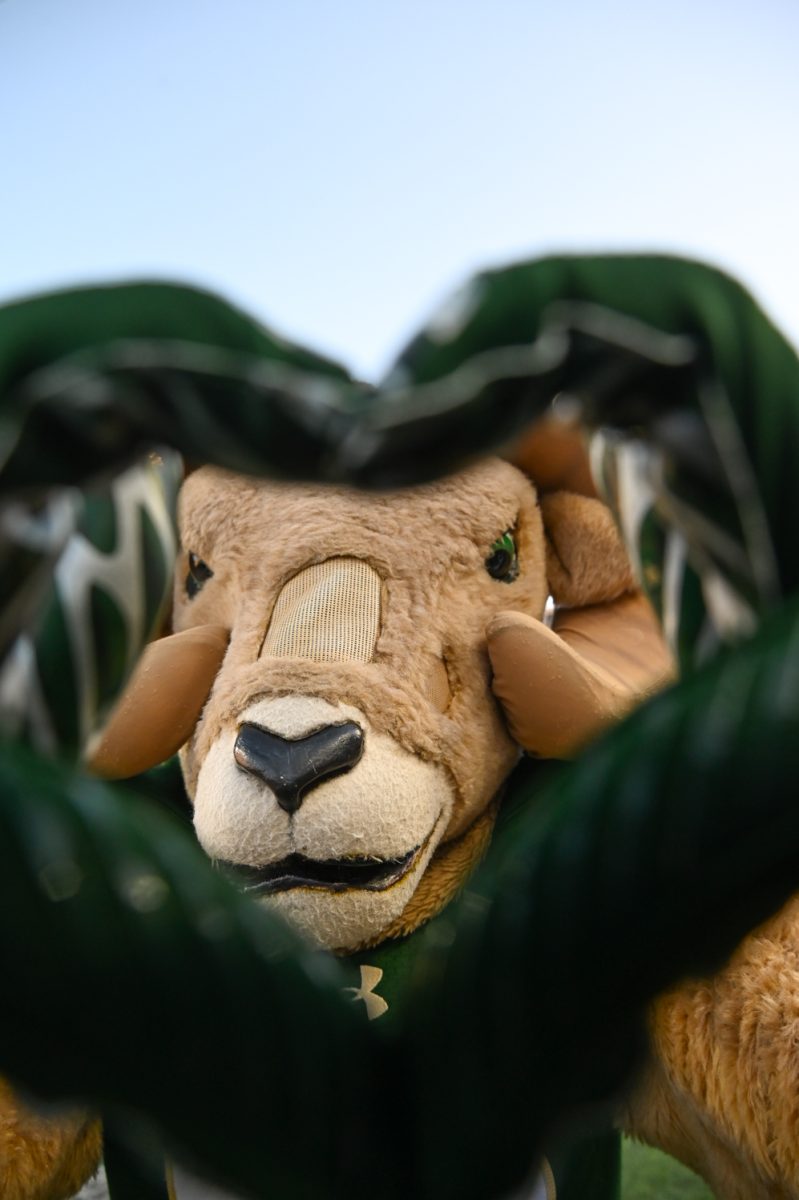 Colorado State's ram mascot makes a hand heart to the camera.