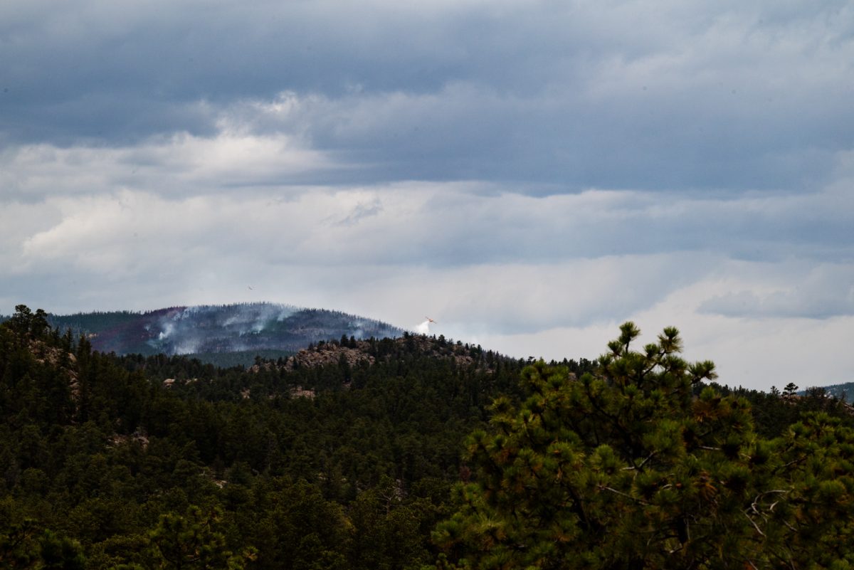 A tree covered landscape with a smoke-covered mountain in the distance. A plane dumps water onto the smoke.