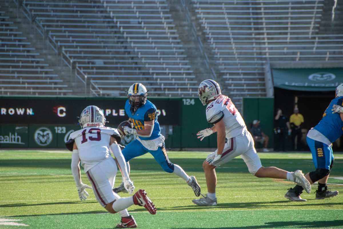 football player in blue runs with ball with football players in white running after him