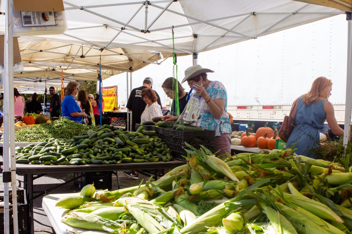 Under the shade of pop-up canopies, people browse at tables covered in vegetables in a parking lot on a sunny day.