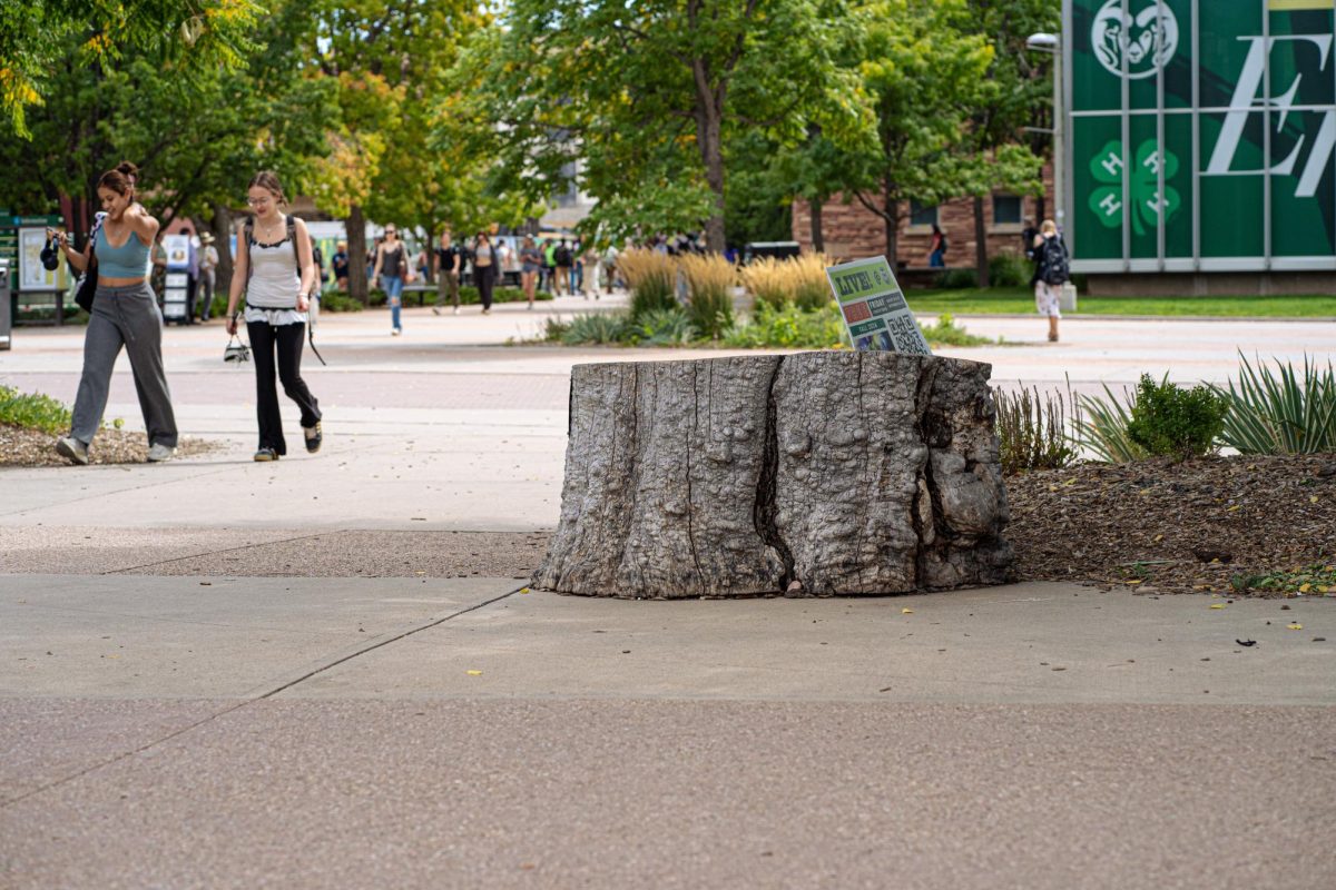 The Stump, a symbolic site on The Plaza of Colorado State University on Sept. 11. The Stump is symbolic for being an allowed freedom of expression zone. 