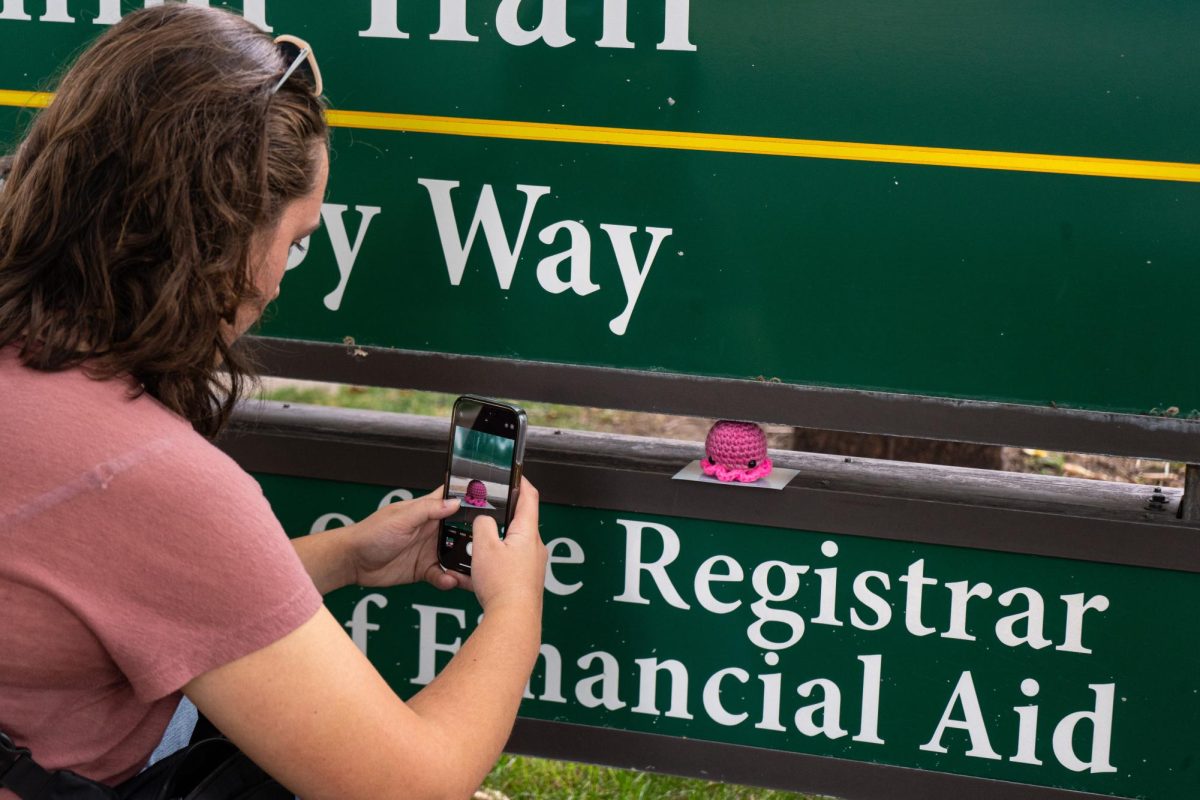 Viewed from behind, someone in a pink shirt takes a photo on their phone of a small pink crocheted octopus sitting on top of a green sign.