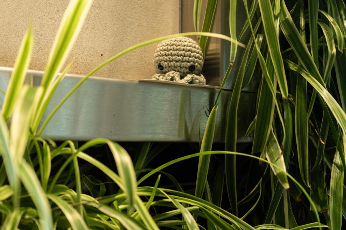 A green crocheted octopus sits on a shelf surrounded by plants and greenery.