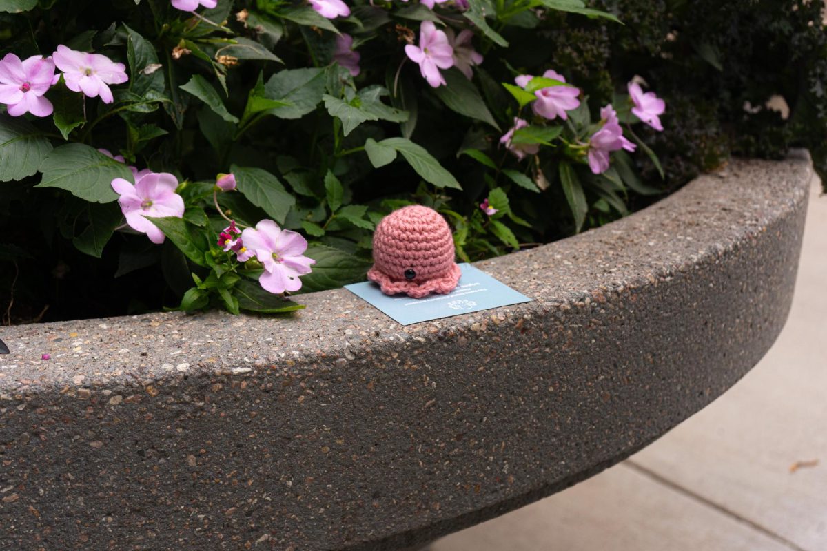 A small pink crocheted octopi from Octopi of CSU sits waiting to be found in a flowerbed near the Administration Building on The Oval Sept. 17. All octopi from Octopi of CSU are posted on the group's Instagram page for finders to discover and keep. 