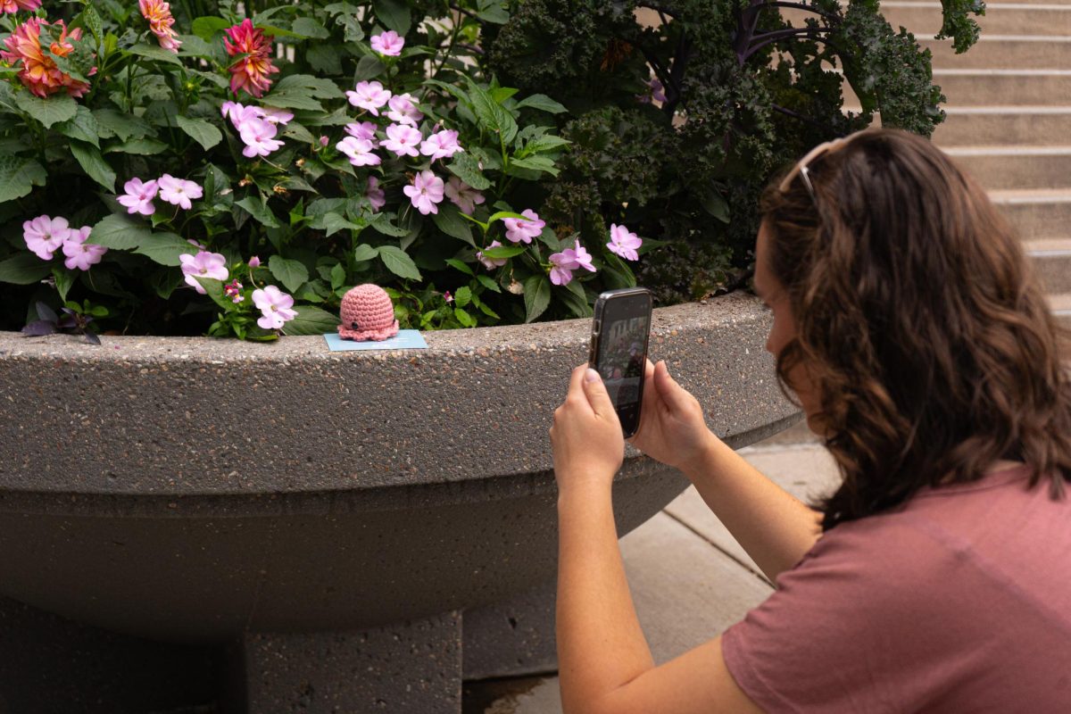 M.M, the Director of Octopi Operations for Octopi of CSU takes a photo of a recently hidden octopi to post on the group's Instagram page as a clue for finders. M.M and the rest of the group are anonymous to preserve the integrity and mystery of the group.