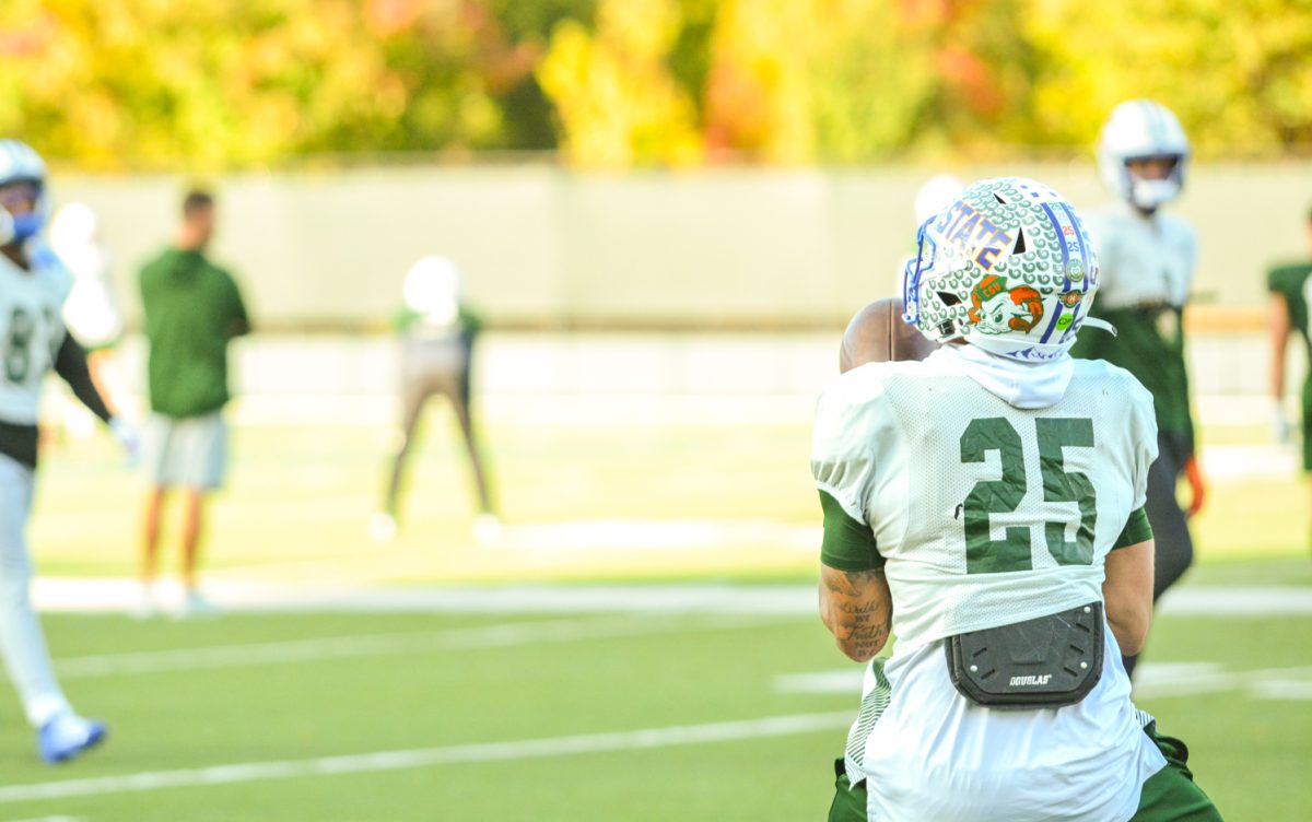 A CSU football player catching a ball during morning practice. 