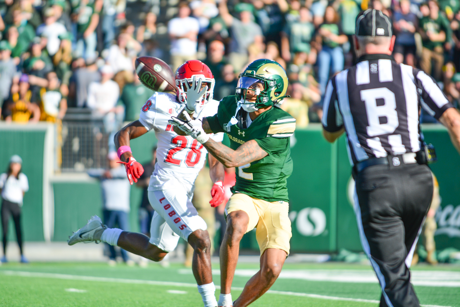 Gallery: CSU football takes another Homecoming win