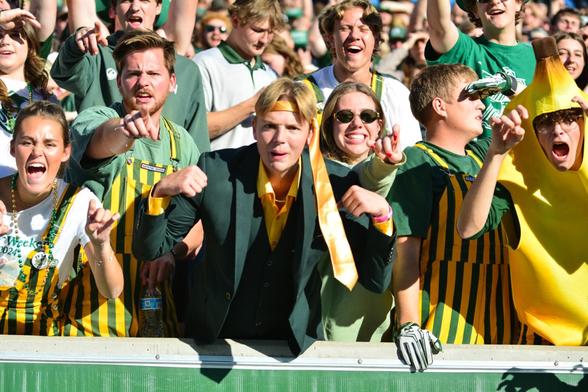 Fans in green and yellow celebrating