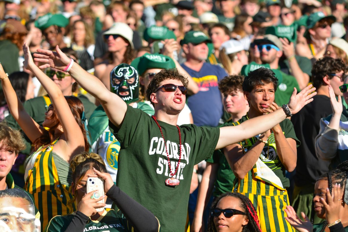 A fan in a green shirt celebrating