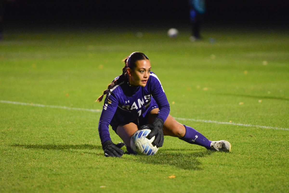 A soccer player with a blue shirt on grabbing a ball