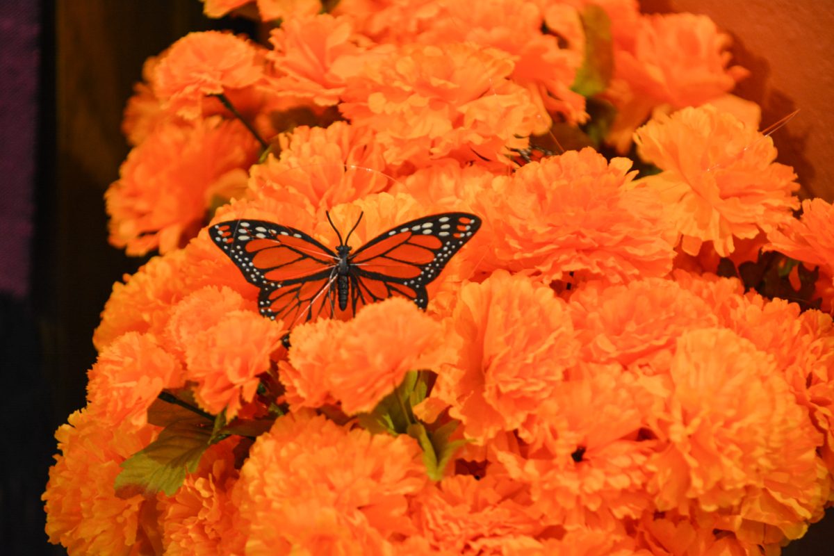 Marigold flower is the main flower used for the Day of the Dead in mexican culture Oct. 4. The art exhibit “Street Vistas: Oaxaca’s Dia de Los Muertos” took place at the Global Village Museum of Arts and Cultures.