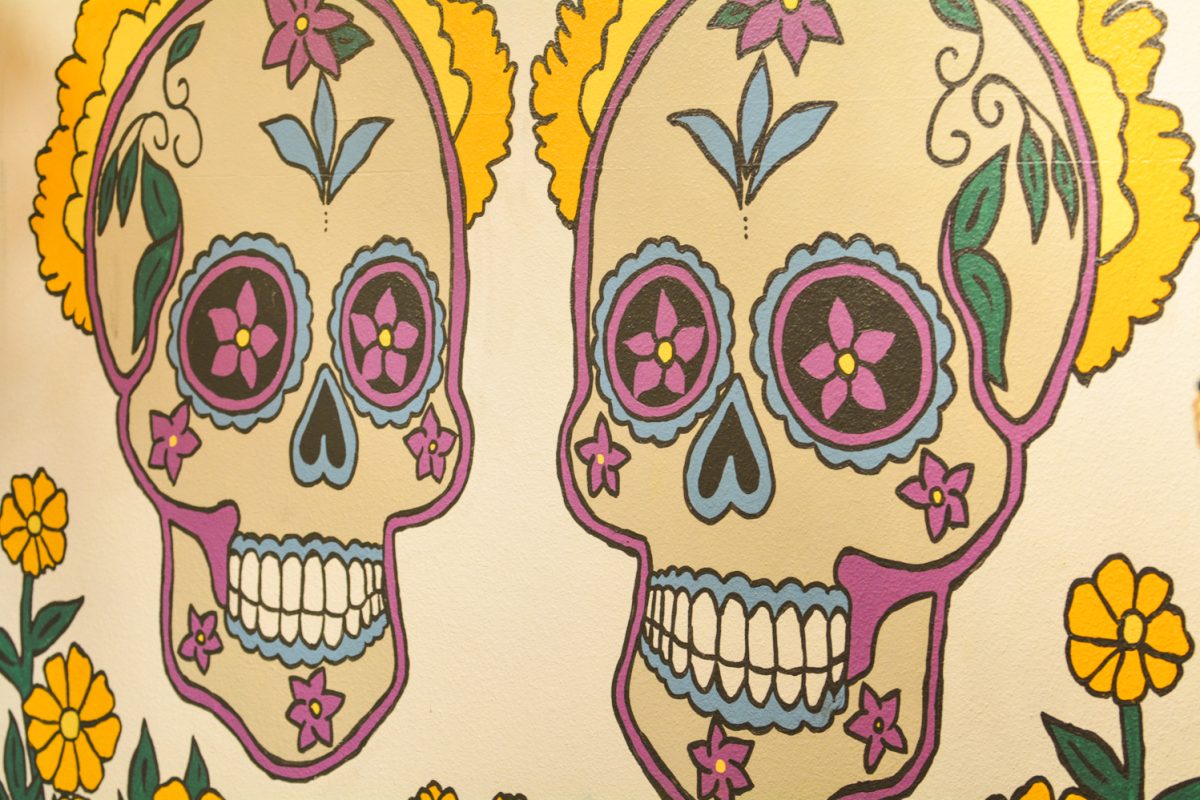 Painting of two skulls with pink edges, decorated with yellow and pink flowers and blue inner outlines.