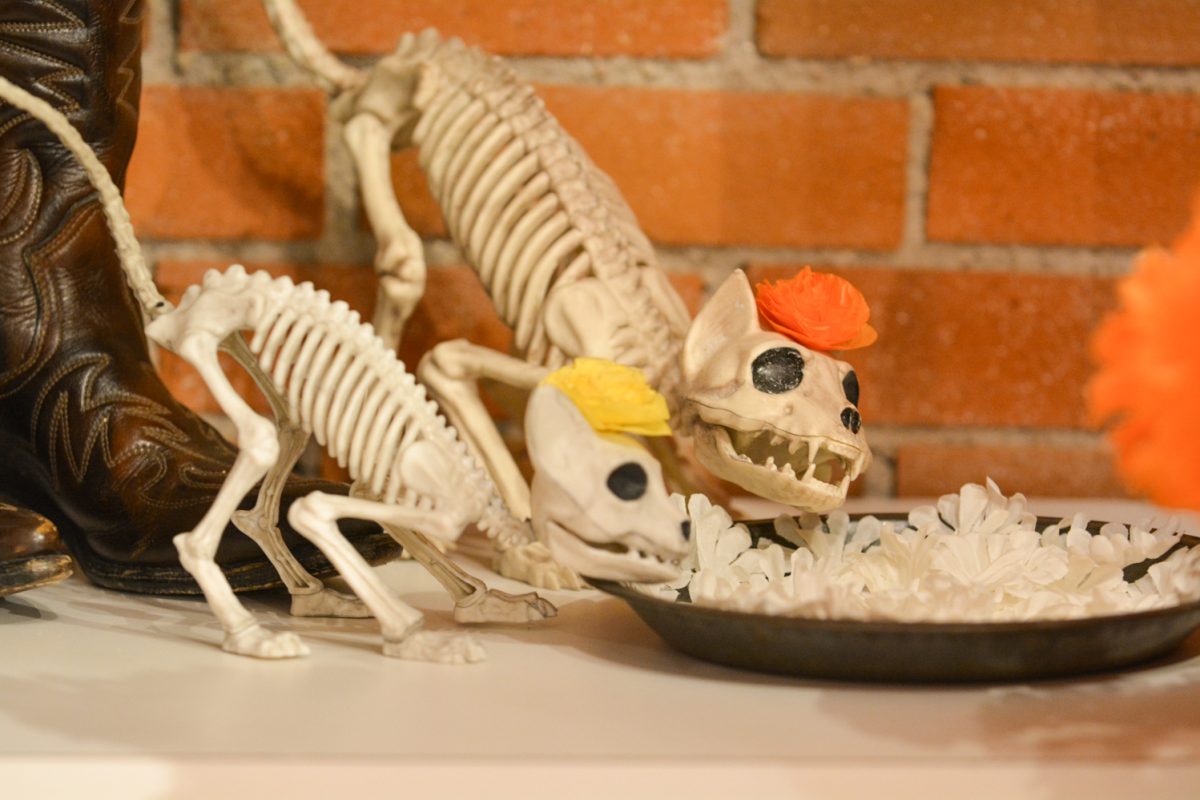 Two dog skeletons eating out of a bowl surrounded by marigold flowers Oct. 4. This art piece is representing mexican culture during the art exhibit “Street Vistas: Oaxaca’s Dia de Los Muertos” Oct. 4. This exhibit took place at the Global Village Museum of Arts and Cultures.