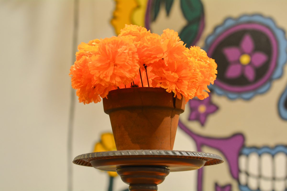 Marigold flower is the main flower used for the Day of the Dead in mexican culture Oct. 4. The art exhibit “Street Vistas: Oaxaca’s Dia de Los Muertos” took place at the Global Village Museum of Arts and Cultures.