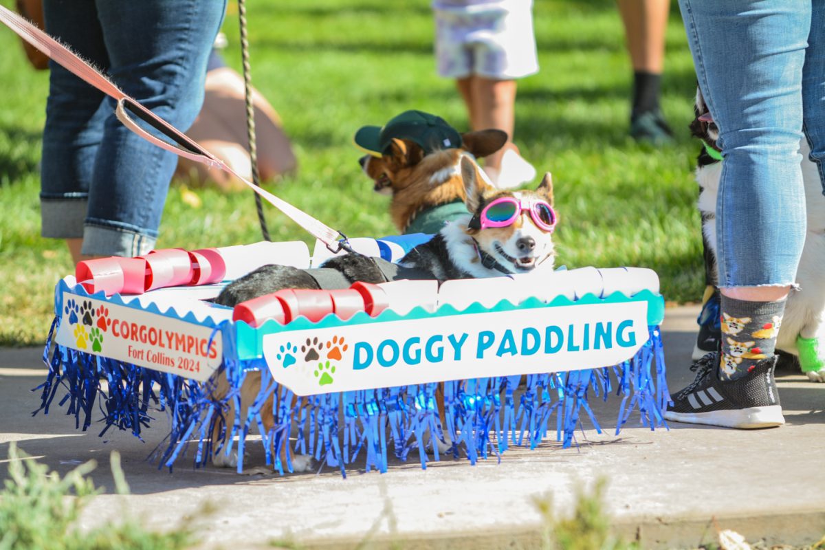 A dog dressed in a doggy paddling costume with pink goggles on, sitting in a blue float.