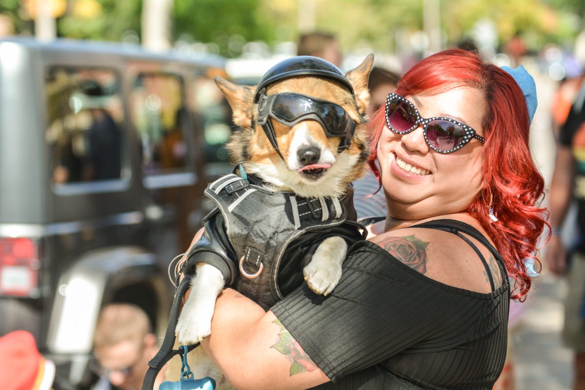 A corgi with sunglasses and a biker costume on, being held by a woman with red hair and a black top.