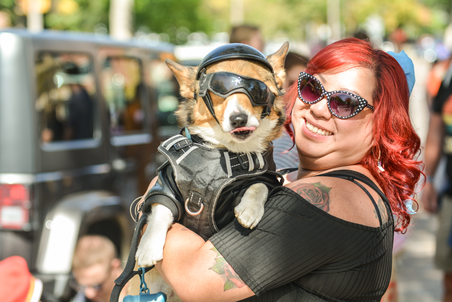 Gallery: Annual Tour de Corgi celebrates 10 years