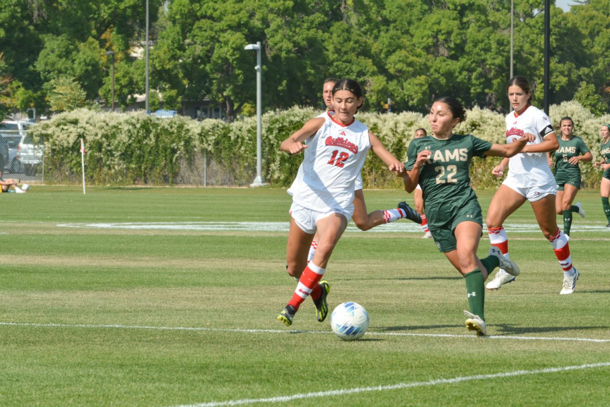 two soccer players competing for a soccer ball