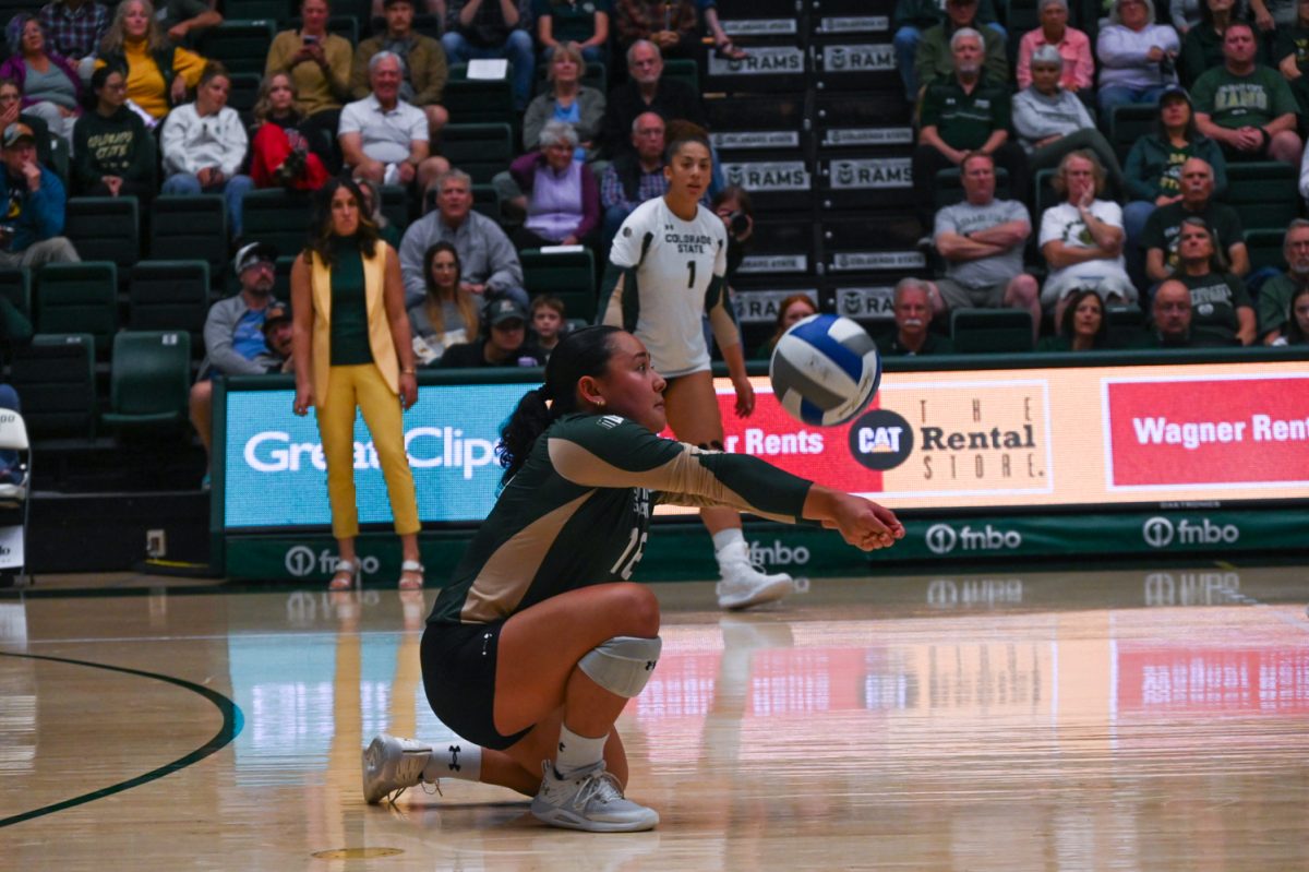 A player in green and gold and black shorts hits a blue and white ball on a volleyball court