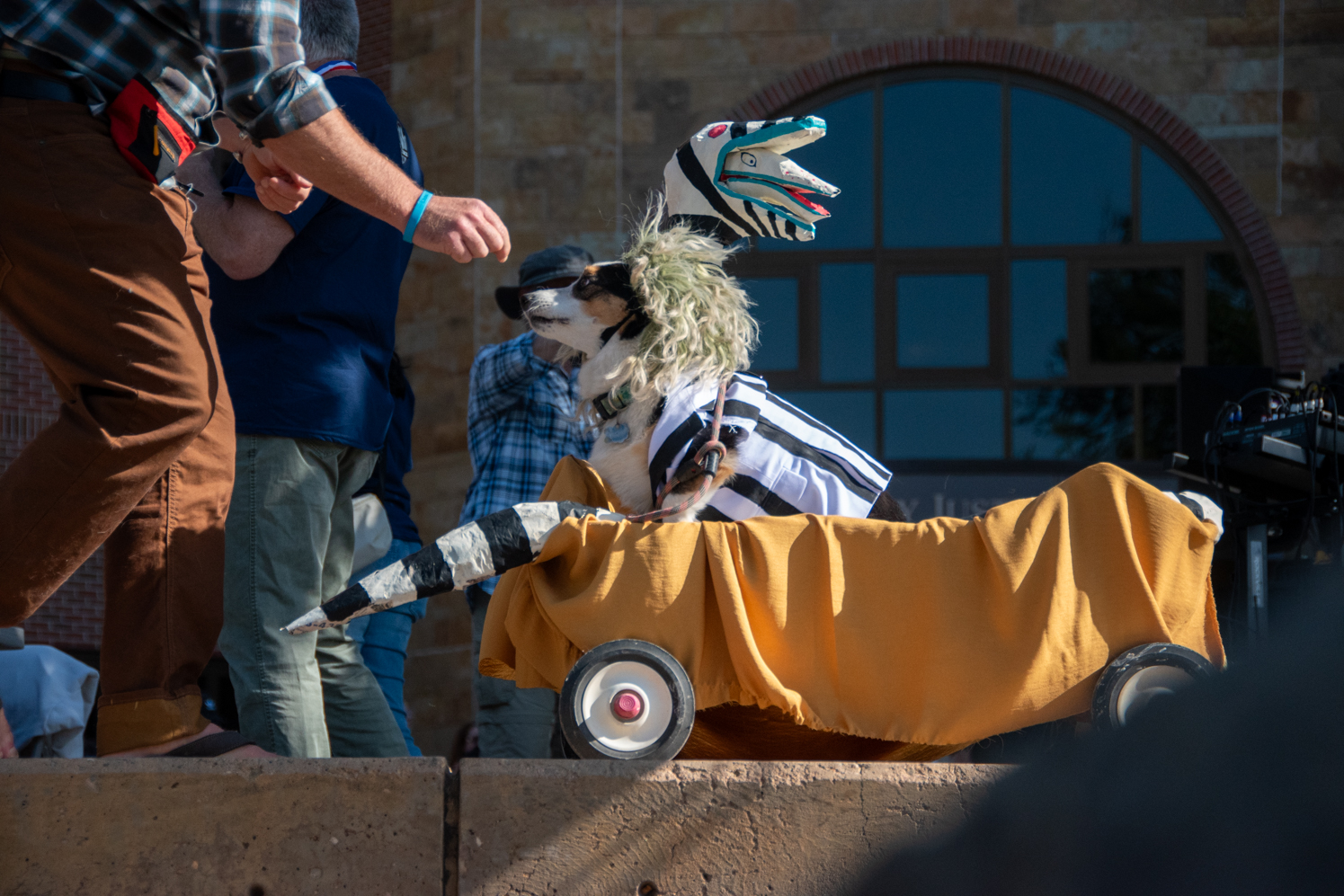 Gallery: Annual Tour de Corgi celebrates 10 years