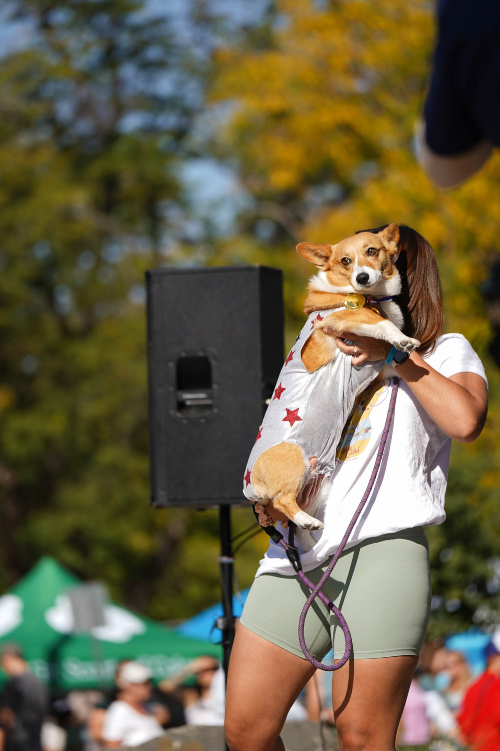 Gallery: Annual Tour de Corgi celebrates 10 years