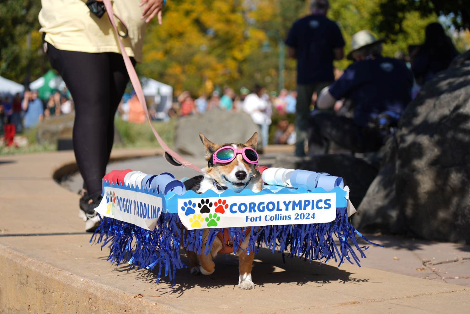 Gallery: Annual Tour de Corgi celebrates 10 years