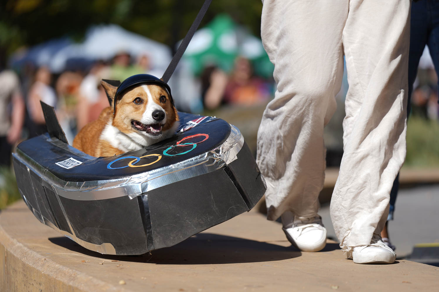 Gallery: Annual Tour de Corgi celebrates 10 years