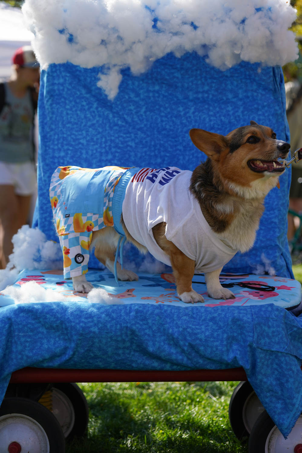 Gallery: Annual Tour de Corgi celebrates 10 years