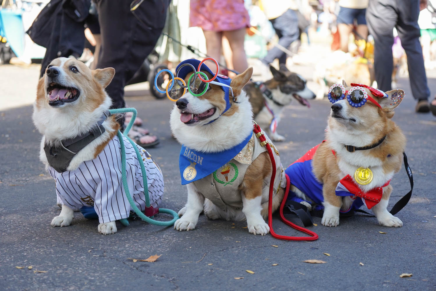 Gallery: Annual Tour de Corgi celebrates 10 years