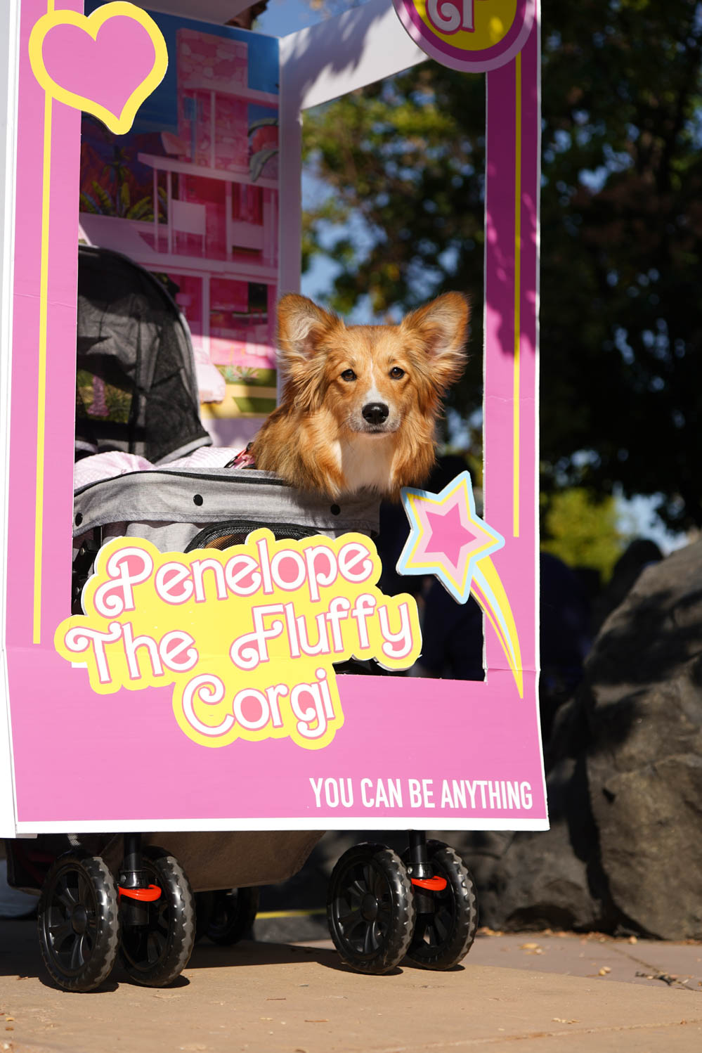 Gallery: Annual Tour de Corgi celebrates 10 years