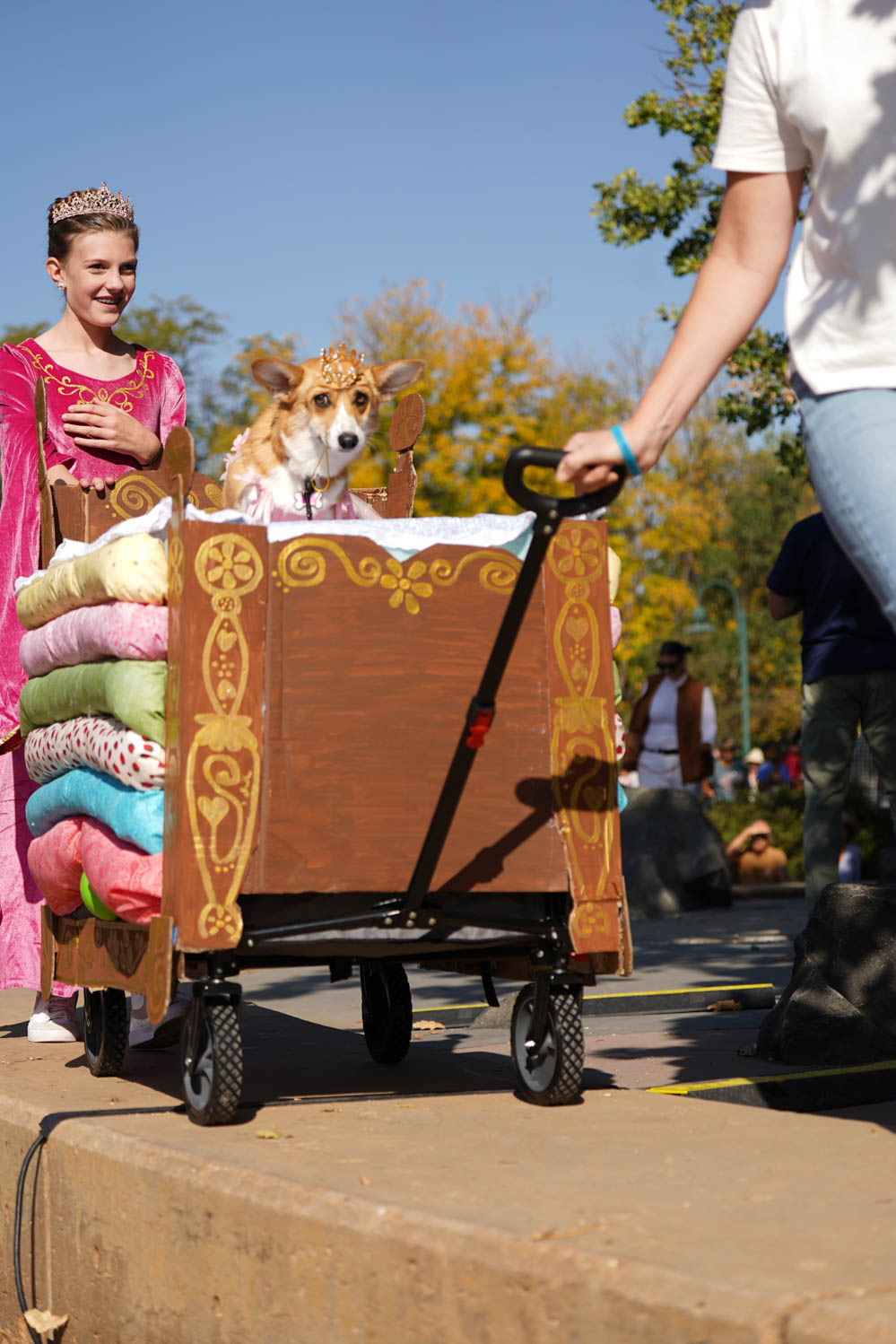 Gallery: Annual Tour de Corgi celebrates 10 years