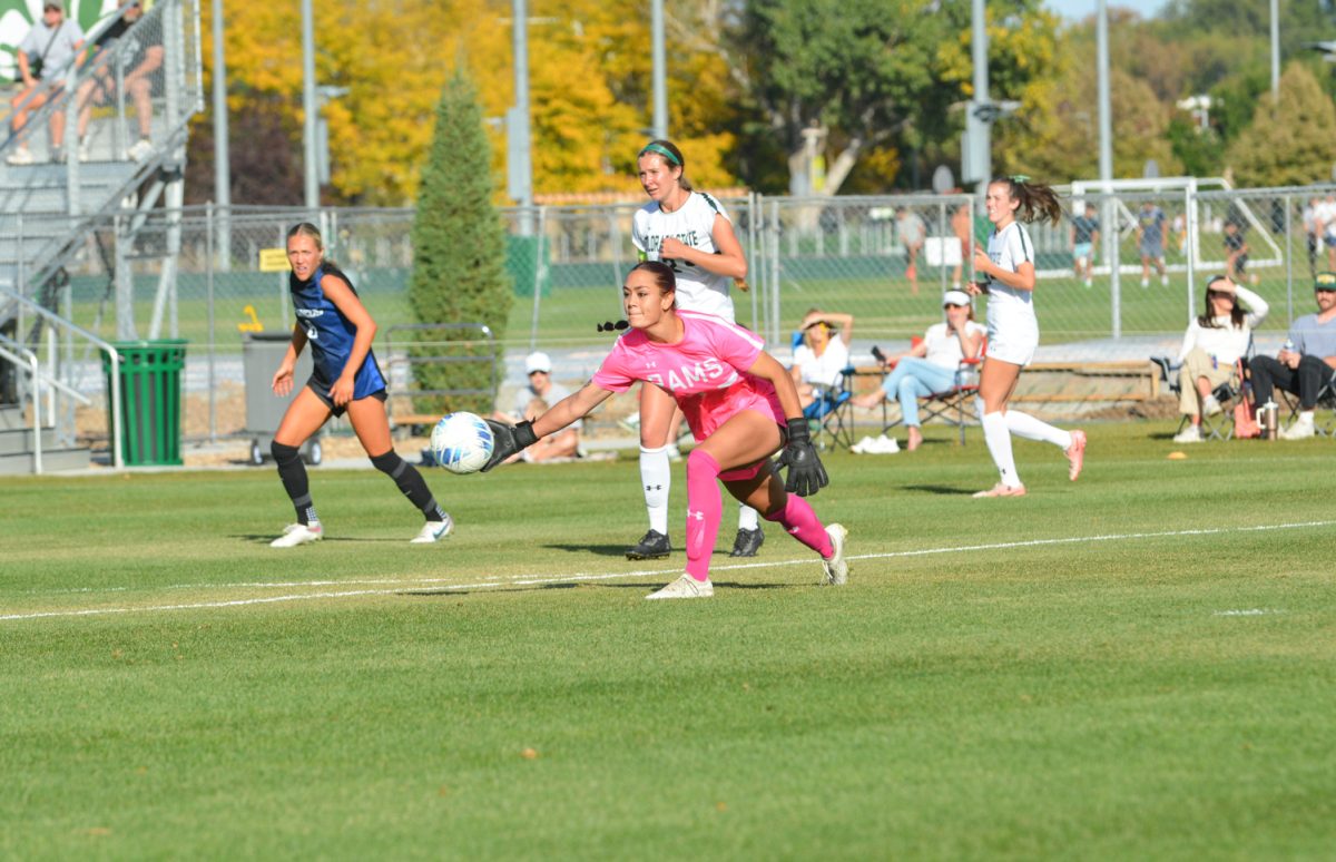 A player in a bright pink jersey throwing a ball