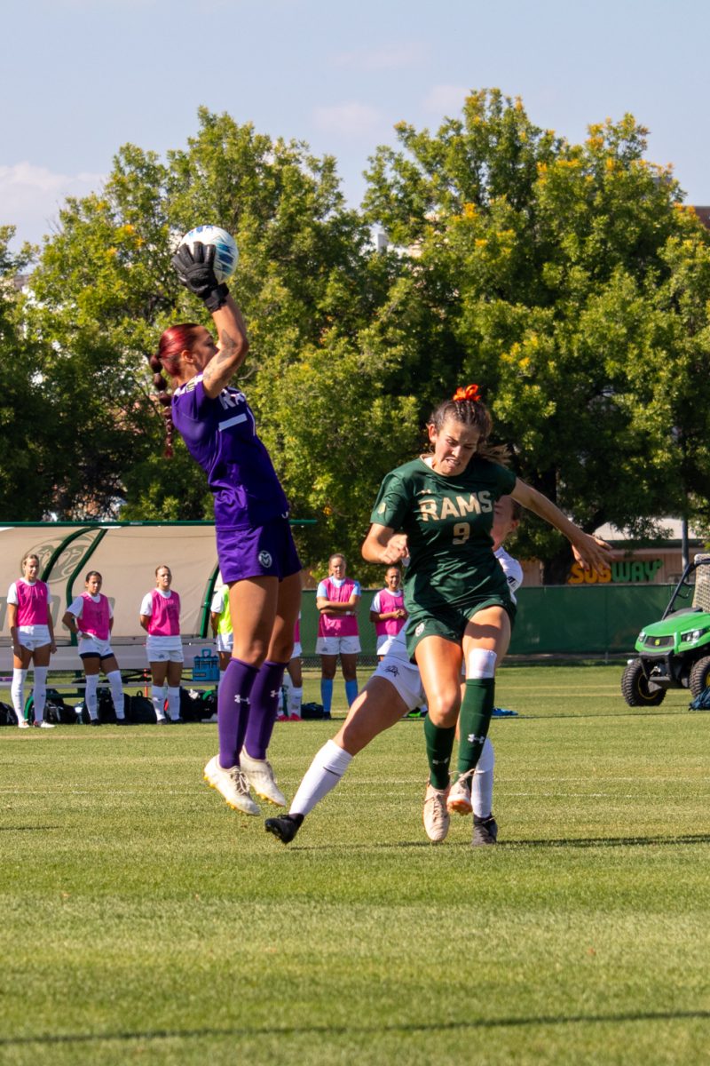 A goalie jumping to catch the ball during a soccer game.