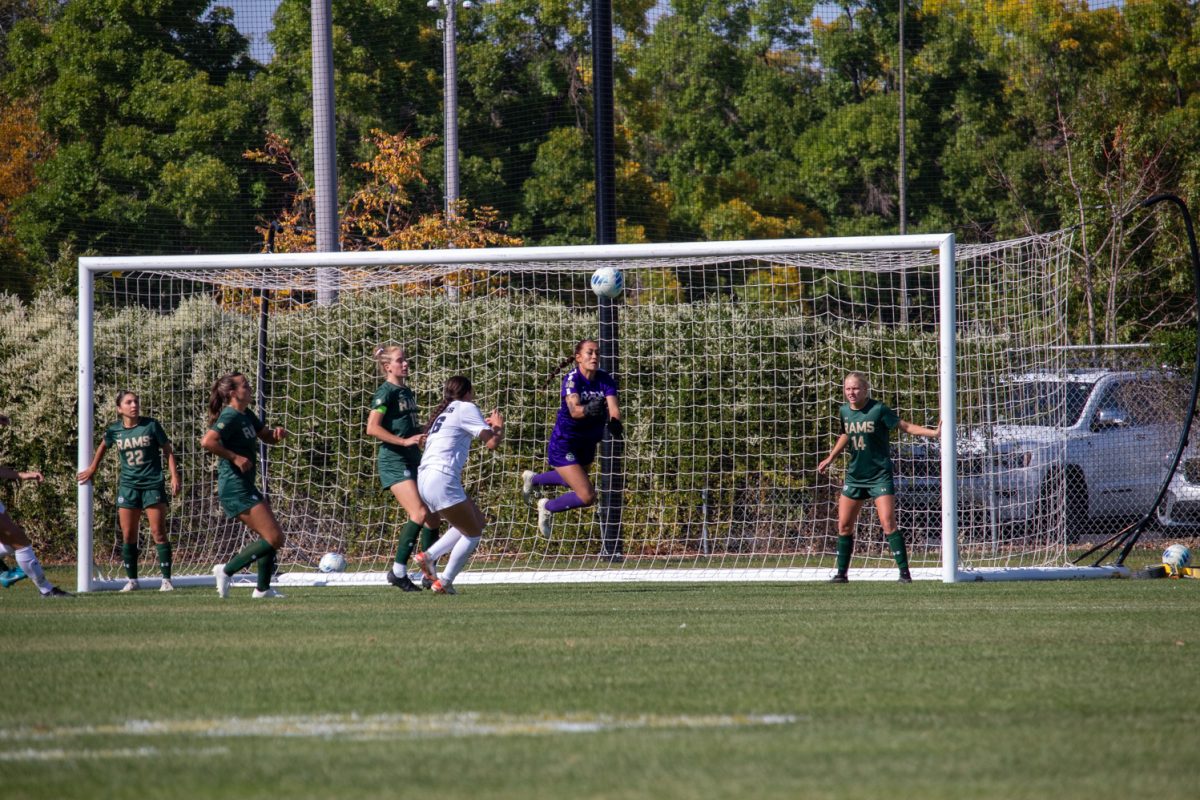 A goalie jumping to catch the ball during a soccer game