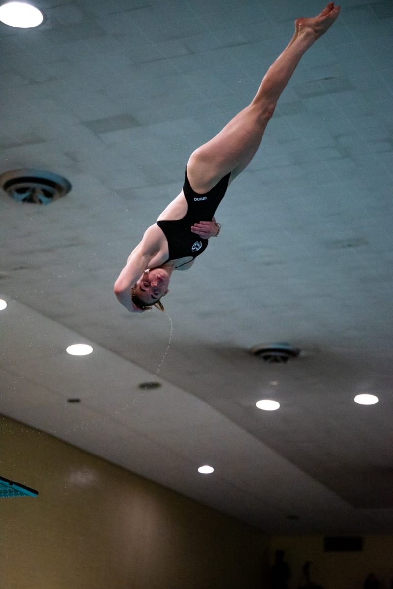 A diver spins midair after jumping off a diving board.