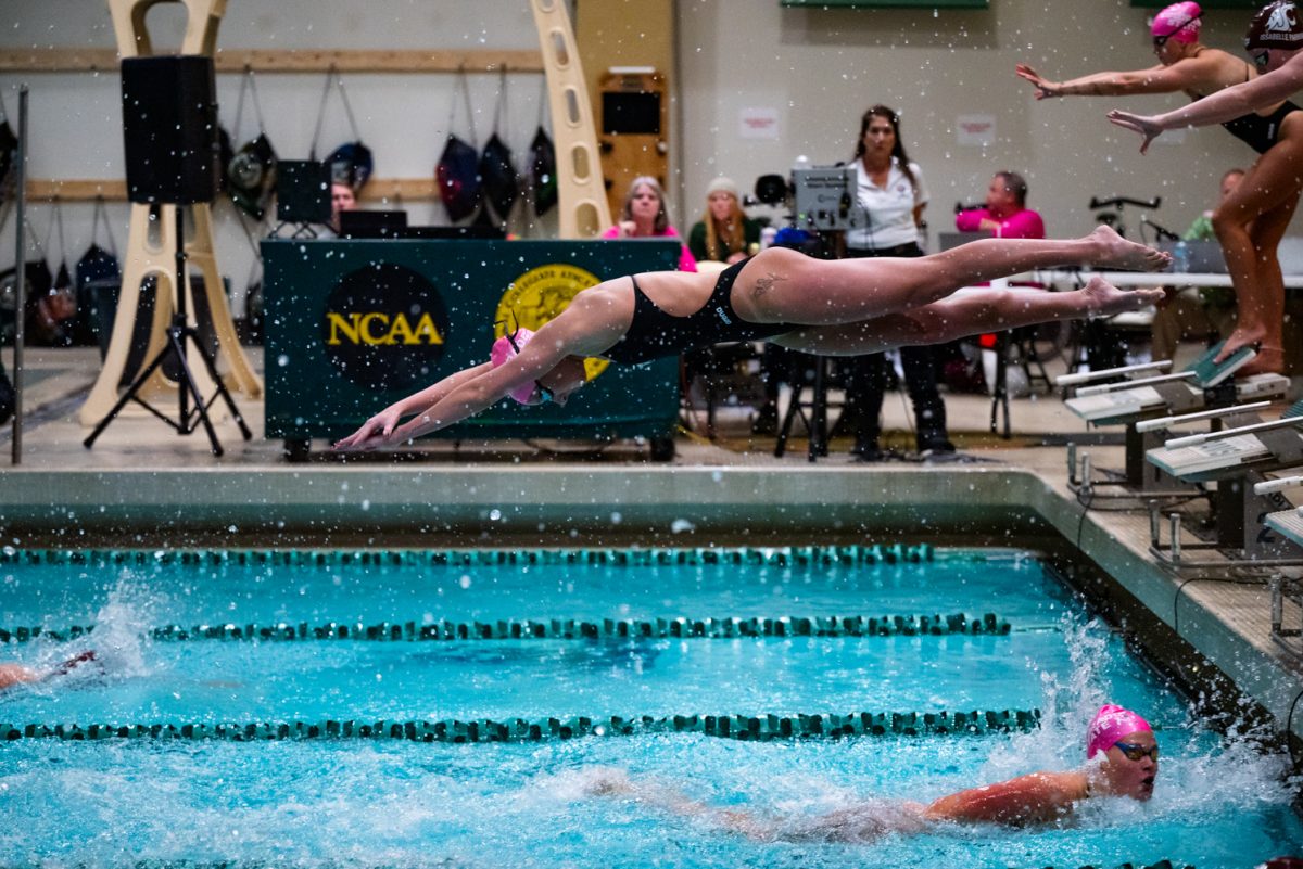 A swimmer in a pink cap, goggles and a black swimsuit dives off blocks and into a pool.