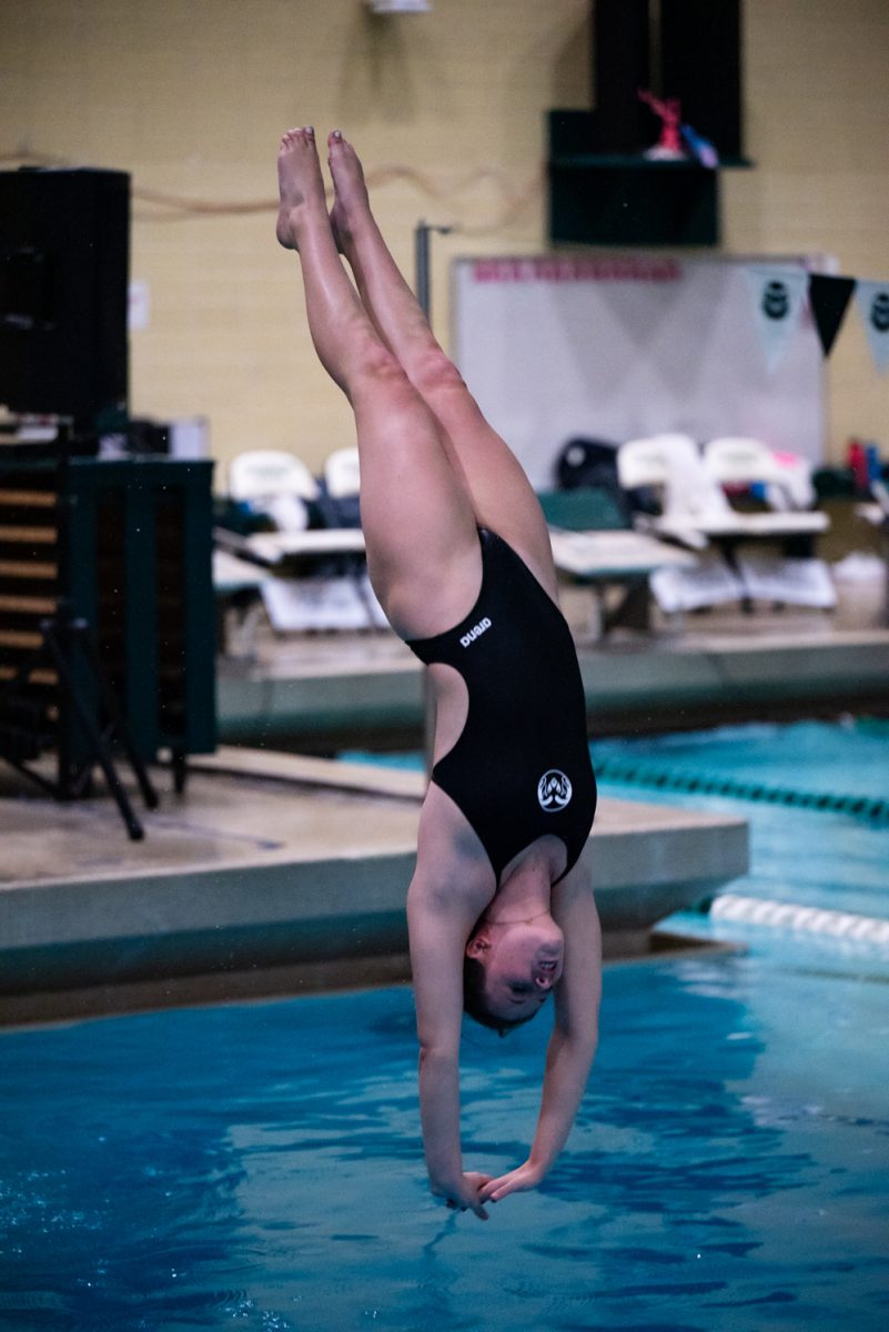 A swimmer dives into a pool with her arms outstretched and her legs pointed up.