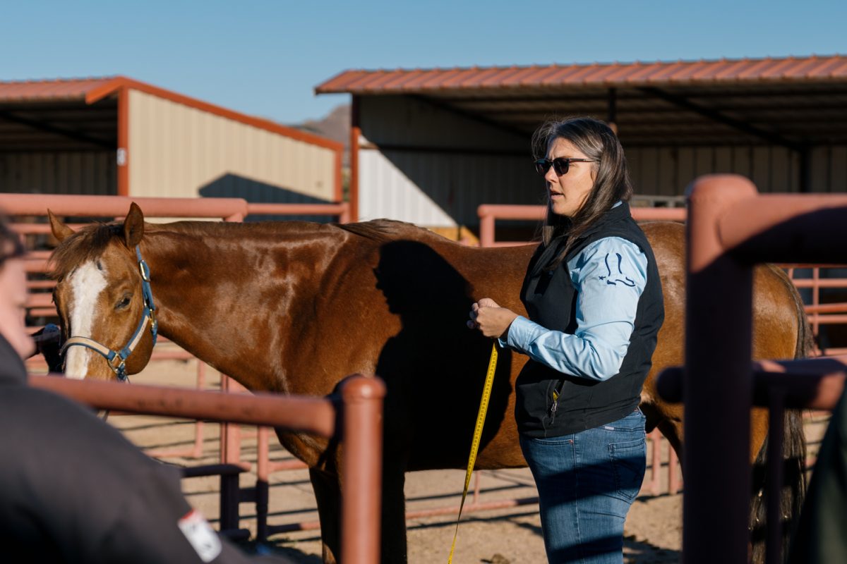 A woman talks to students while measuring a chestnut horse.