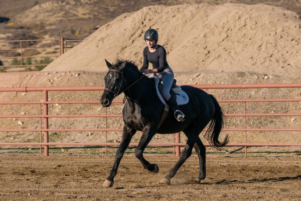 A girl rides a black one-eyed horse in an outdoor arena.