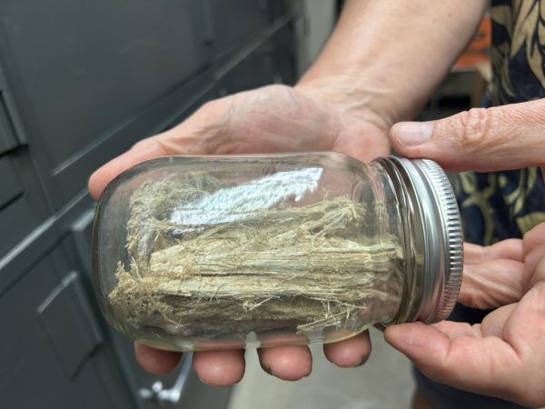 Two hands holding a jar with dry fibers inside.