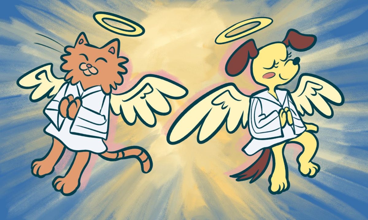 An orange cat and a yellow dog float in front of a blue and yellow beam of light wearing halos and angel wings.