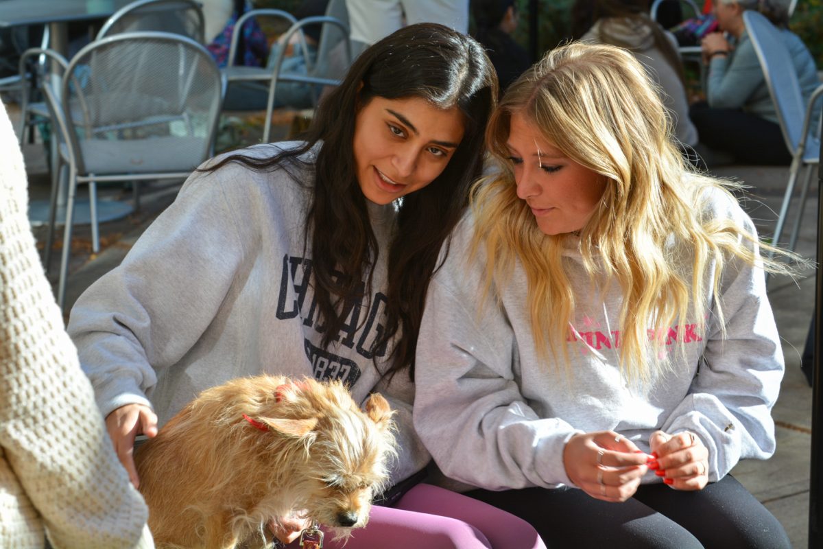 Two students petting a dog