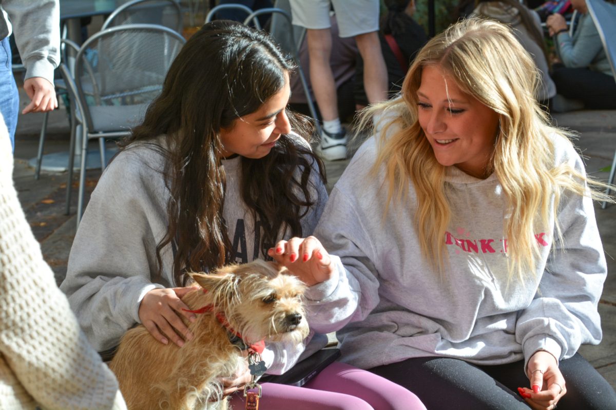 Two students petting a dog