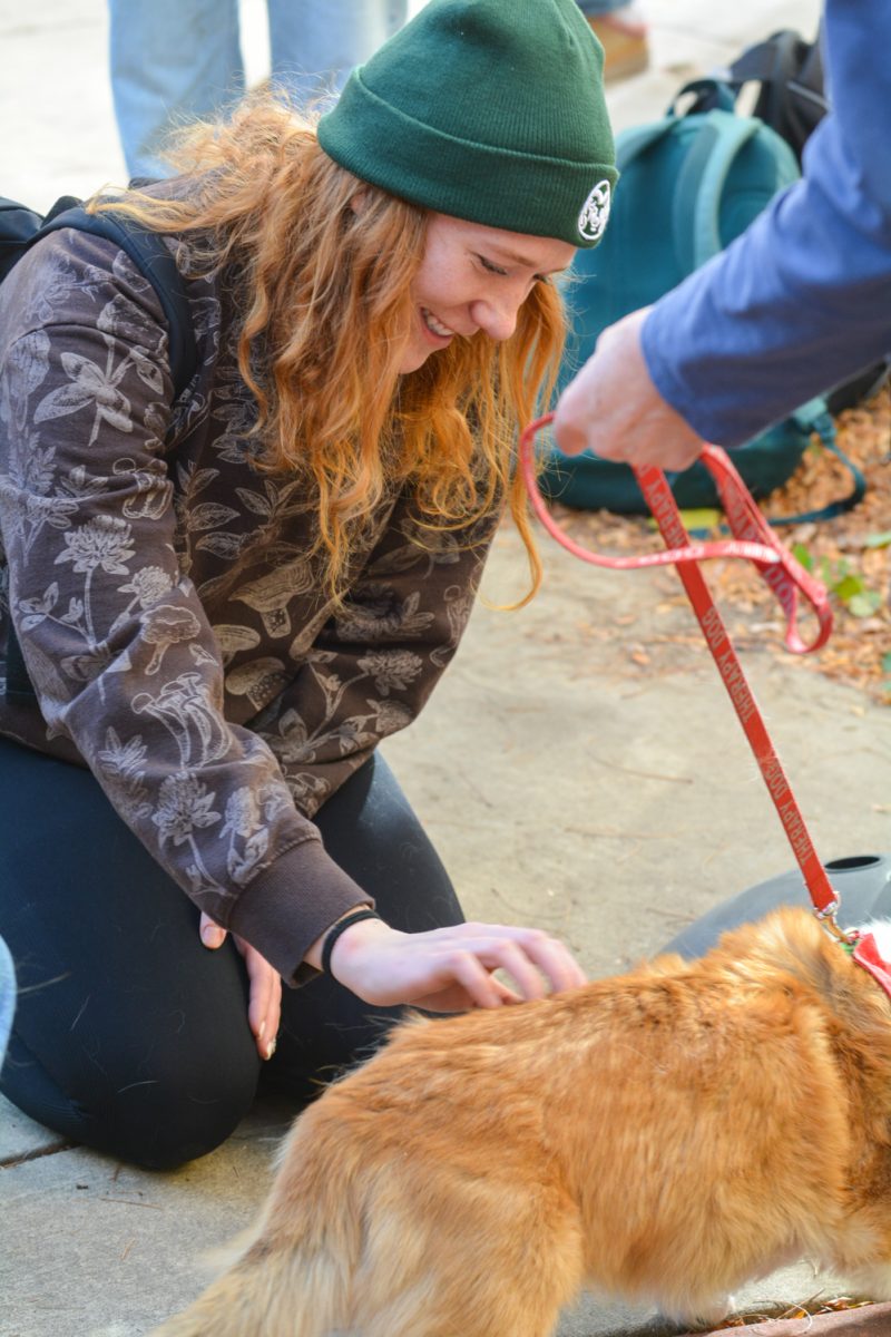 A student petting a brown dog